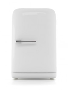 Fridge Repair